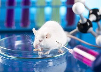 เมื่อหมอโหด! ลองทำลายเซลล์สมองส่วนบัญชาการ