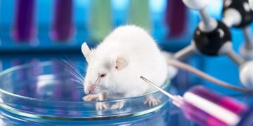 เมื่อหมอโหด! ลองทำลายเซลล์สมองส่วนบัญชาการ